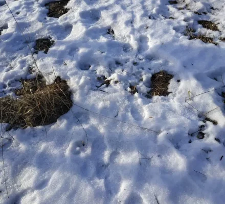 реабилитационный центр для детей