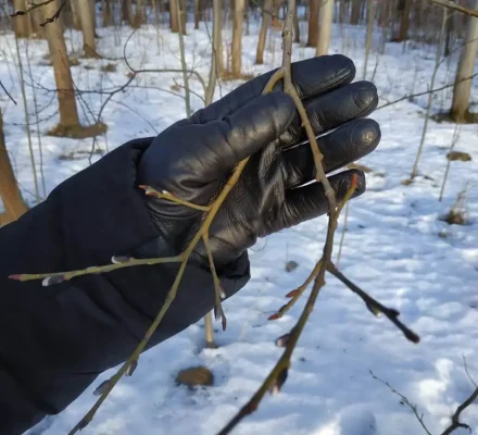 реабилитационный центр для детей